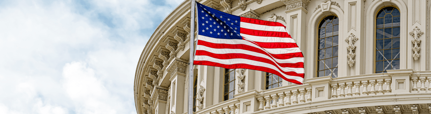 capitol building and US flag